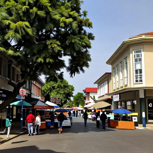 Melhores lugares para comprar e explorar em Boa Vista: guia atualizado