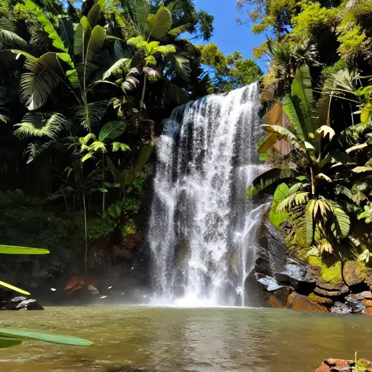 Cachoeira Sete Queda: Um Refúgio Natural em Roraima