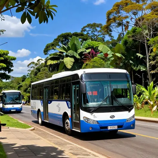 Como Ir de Ônibus de Pacaraima para Boa Vista: Guia Completo Como Ir de Ônibus de Pacaraima para Boa Vista: Guia Completo