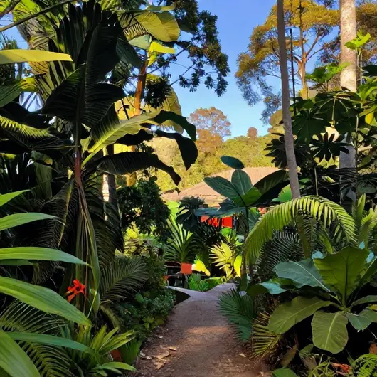 Descubra a Estância Ecológica Sesc Tepequém Descubra a Estância Ecológica Sesc Tepequém