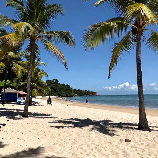 Descubra a Praia do Curupira em Boa Vista - RR