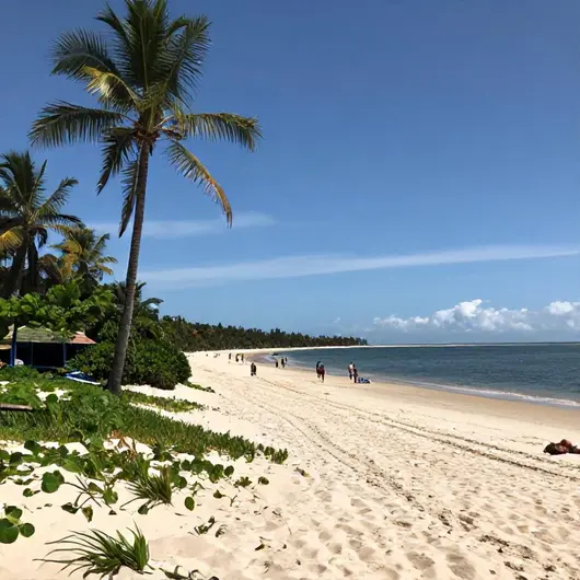 Descubra a Praia Do Forte Barão Do Rio Branco