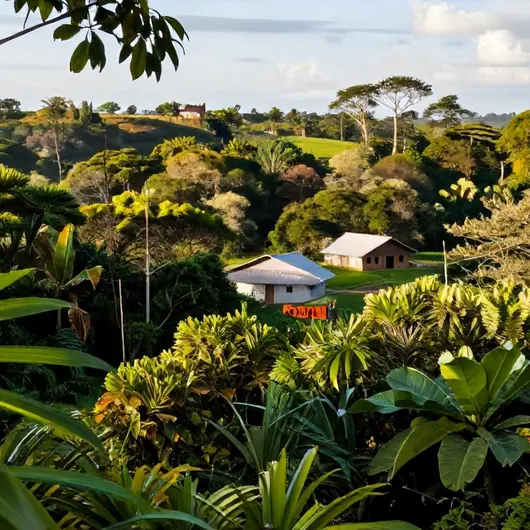 Descubra a Reserva Indígena Fazenda Boa Vista Descubra a Reserva Indígena Fazenda Boa Vista