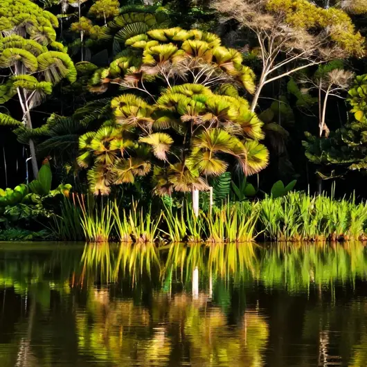 Descubra o Lago do Robertinho