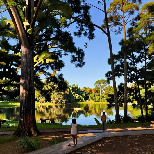 Descubra o Parque Anauá: O Pulmão Verde de Boa Vista – RR Descubra o Parque Anauá: O Pulmão Verde de Boa Vista - RR