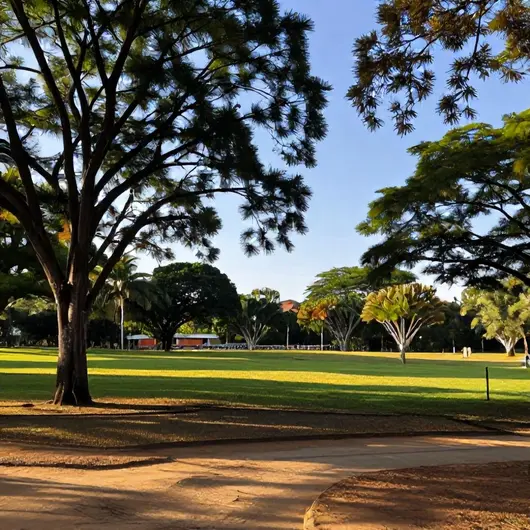 Descubra o Parque Anauá: O Pulmão Verde de Boa Vista