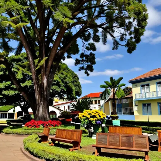 Descubra Sao Francisco: Um Paraíso de Beleza Natural Descubra Sao Francisco: Um Paraíso de Beleza Natural