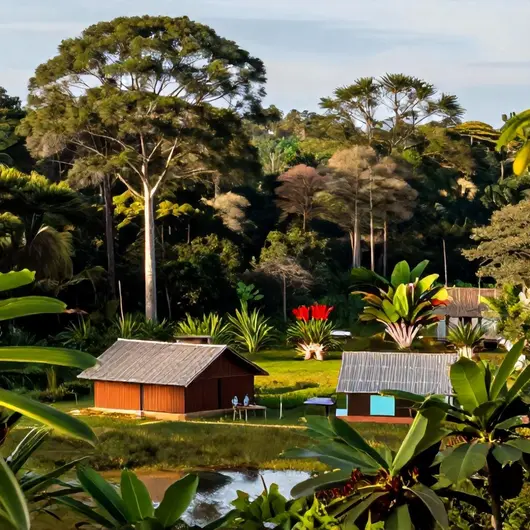 Explorando a Terra Indígena Serra da Moça