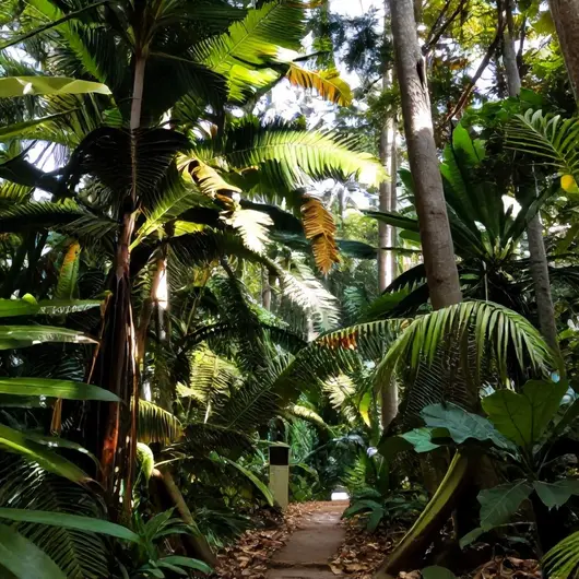 Explorando o Parque Nacional do Viruá