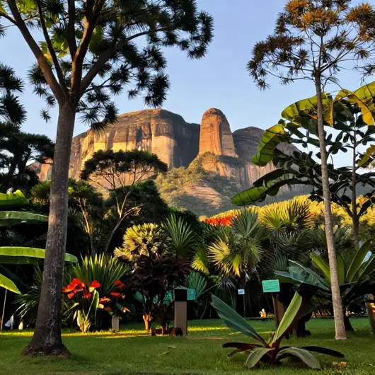 Montante Roraima Montante Roraima