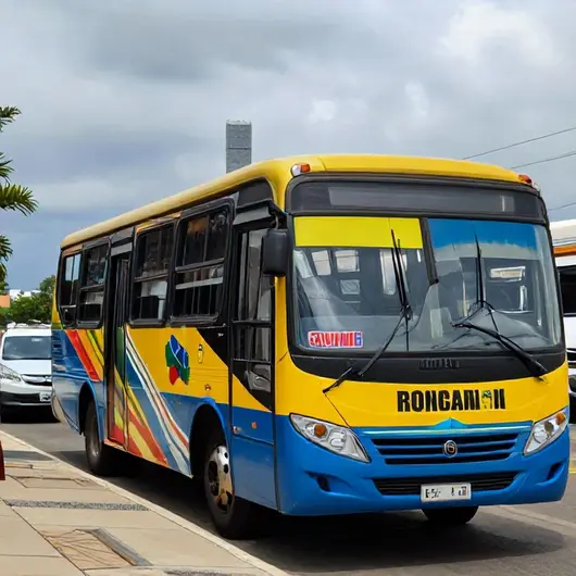 Ônibus de Boa Vista - Rotas Internacionais: Tudo que Você Precisa Saber