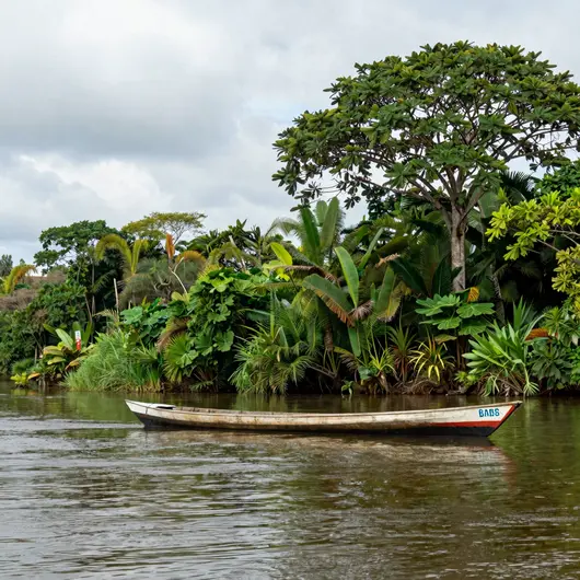 Passeio de Barco pelo Rio Branco em Boa Vista