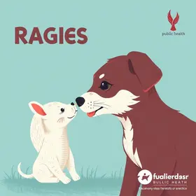 Campanha Antirrábica