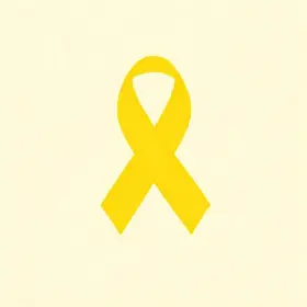 SETEMBRO AMARELO Prefeitura Municipal de Boa Vista
